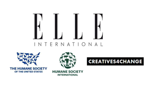 ELLE International pledges to go fur-free